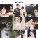 결혼준비 05 - 본식스냅 고르기 (로즈베일리, 에잇세븐포토그라피, 스냅1108, 그대로운스냅, 빛진스냅...