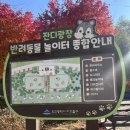 강아지놀이터 | 문학산반려견놀이터 후기 | 인천 강아지랑 산책코스까지