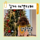 댕굴댕굴 | 김제 애견카페 댕굴댕굴ㅡ대형견도 마음껏 뛰노는 폐교 리모델링 애견카페 후기