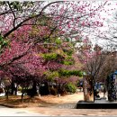 순천의료원 공원 이미지