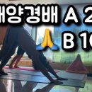 가족요가A 이미지