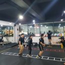 클럽복싱인 이미지