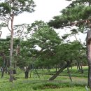 수원-1368 이미지