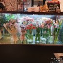 카페스프링 이미지