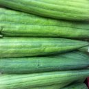 건강마을건강원 이미지