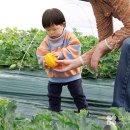 (주)아이들팜 이미지