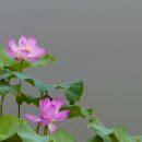 요즈음