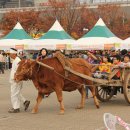 1년에 단 한번 열리는 3일간의 새우젓 장터! 한강 마포나루 새우젓 축제! 현장은 어땠을까?.? 이미지