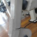 다이나포스헬스클럽 이미지