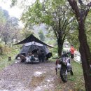 서울참새 | 서울 근교 캠핑장 추천 / 새와참새 반려견 동반 캠핑 솔직후기 1일차