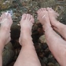 김삿갓데이지펜션 이미지