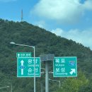 보성애견 | 2박 3일 전라도 여수,보성 여행코스 - 애견동반 (2,3일차)