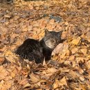 아몰라우즈벡 | 꿈벅