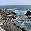 천명행정사사무소 이미지