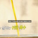 몽산포 기러기농장 이미지