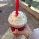 #05 할인정보 | 공차 KT 달달혜택 50% 할인, 그릭요거트 자몽밀크티 크러쉬 후기