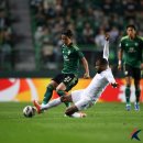 라이온씨티 이미지