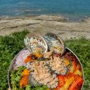 [전북 부안] 부안 맛집 채석강바다길식당 오션뷰 야외포차 동훈수산