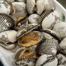 벌교 계절맛집 이미지