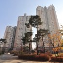 마운틴공인중개사사무소 이미지