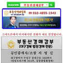 관음초등학교 이미지