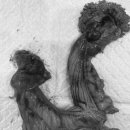 기장i동물의료센터 이미지