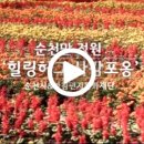 순천만힐링 이미지