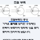 제일안경원 이미지