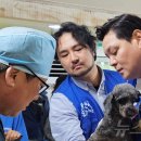 메디벳 주식회사 이미지