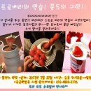 댄스살사 Daum카페