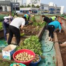 세류1동 행정복지센터 이미지