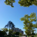 에코중앙로 이미지