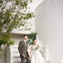 유어스펫 네이버블로그