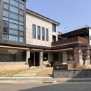 망고&체리 애견샵 | 부산 광안리 느좋카페 시즌즈 딸기케이크 주차 애견동반 솔직후기