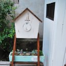 마당목장 이미지