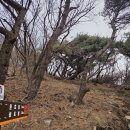 원효암 | [양산] 등린이도 30분 컷! 천성산 원효봉 최단거리 등산 코스 후기 (원효암 주차장 원점회)