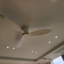 샛별비디오 이미지