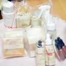 덴탈메이플 이미지