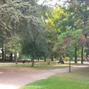 다와올마트 이미지