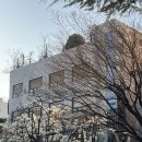언제나 빵긋 | 26.03.28 오케스트라(O) 공연 후기