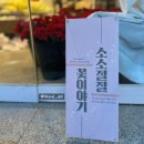 [경산꽃집] &#39;소소절절 꽃이야기&#39;의 너무 예쁜 카네이션 도시락 (+추가 후기)