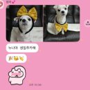 북대구우체국 | 새해가 뭐 대수냐