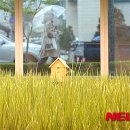 신기한농장 이미지