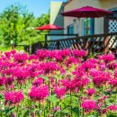 구름위의 테라스 1 이미지