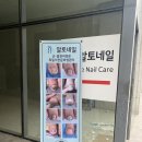 알토네일