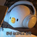 2024년 11월 일상 - 첫번째