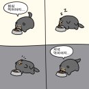 좋은데