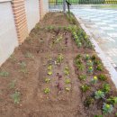 포산초등학교 이미지