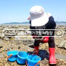 장양어촌마을 펜션 | 선재도 갯벌체험 선재 어촌체험마을 사메기 갯벌 체험장