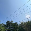 산수화펜션 | [상주] 산수화 펜션 후기🌱